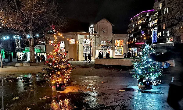 "Елхи на таланта" красят центъра на Бургас