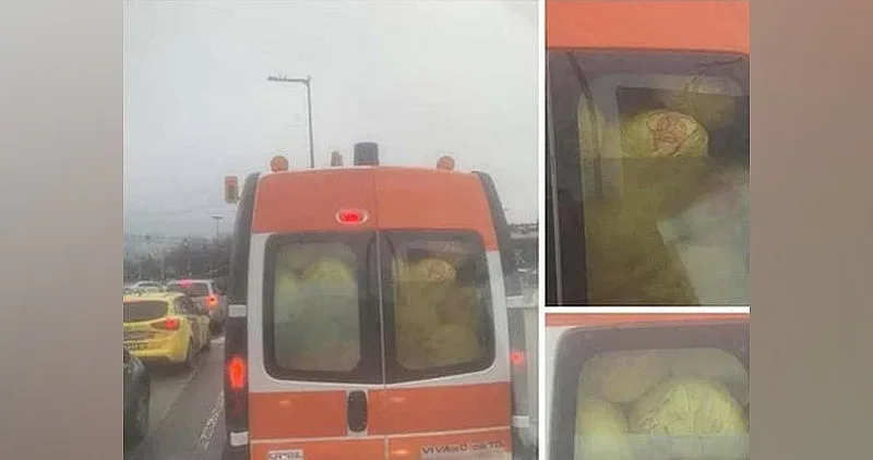 Не е виц! Вози ли линейка зелки?