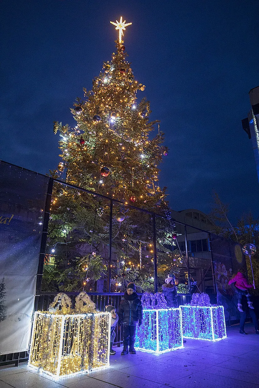 Засия коледното дърво в Стара Загора