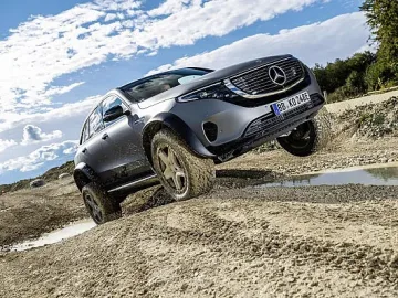 Елколите превземат Европа до 10 години