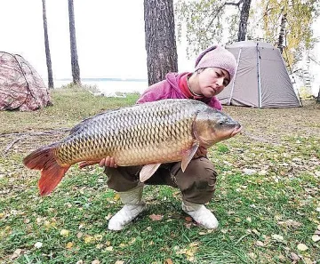 Защо ядем шаран на Никулден - легендата