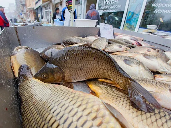 Рибен пазар на жълтите павета