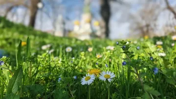 Времето ни играе номера. Изненади през няколко часа