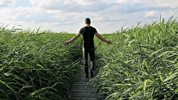 Разярена жена прогони мъжа си на 400 км