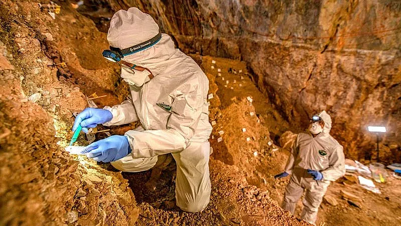 С какво се дрогирали древните хора