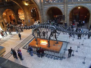 Сънищата на лондончани документи за пандемията