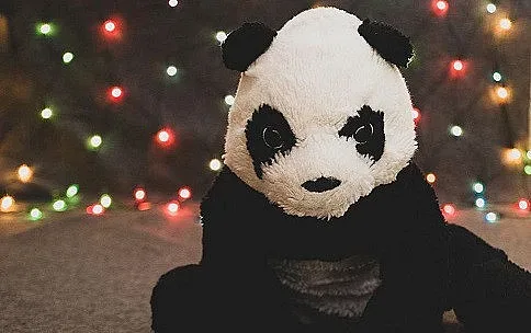 Панди седнаха в ресторант