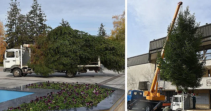 Вижте кой град първи у нас постави коледната елха