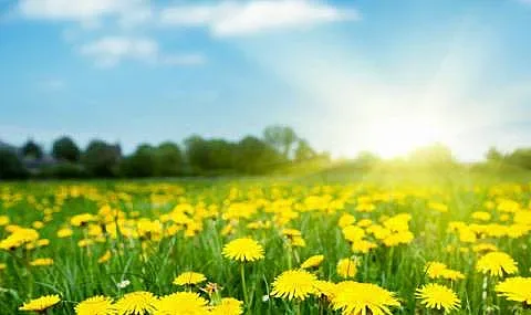 До часове! Времето се обръща