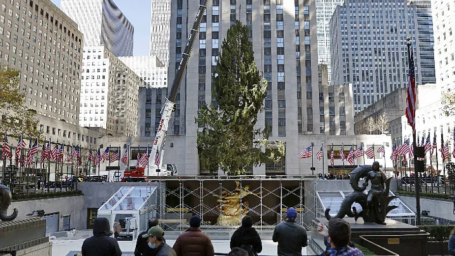 Коледната елха вече е в центъра на Ню Йорк