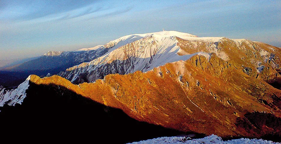 Когато пътя ти пресича кафявата мечка