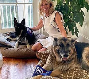 Две овчарки влизат с Байдън в Белия дом