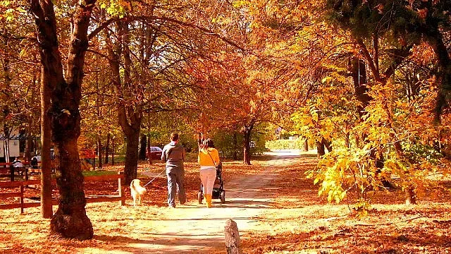 Есенното слънце ще ни гали, излезте на разходка