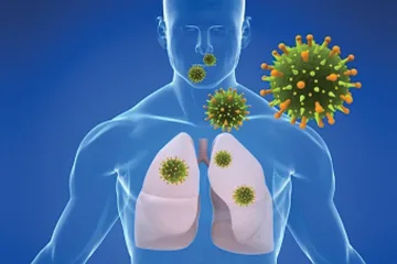 Открити са 7 различни форми на К-19