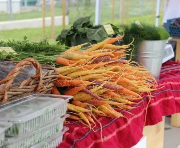 Фермерски вкусотии на пазара в магазин на Лидл