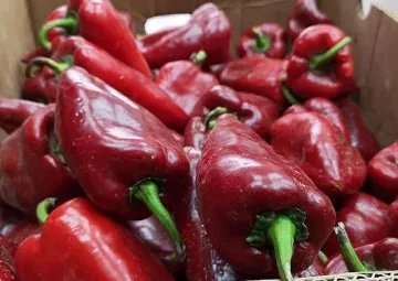 Храни за имунитет, които да ядем през есента