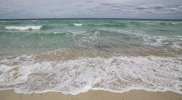 Времето: Кротък и приятен ден, почти без вятър