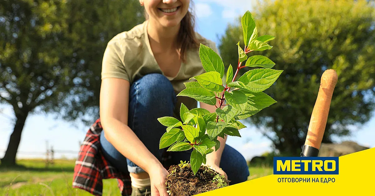 МЕТРО дари 30 000 дървета на Гората.бг в подкрепа на по-зелено бъдеще