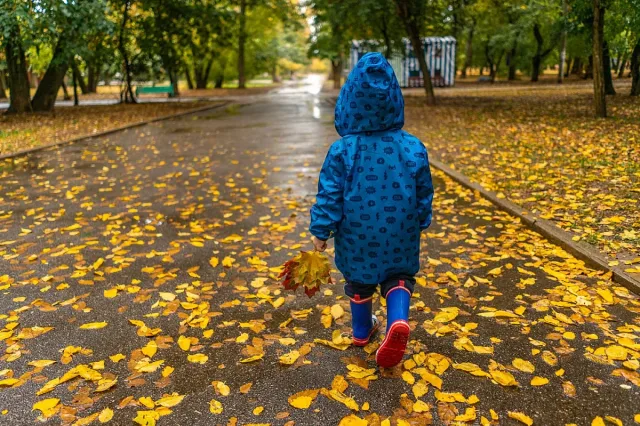 Жълт код в 9 области, но не за дъжд
