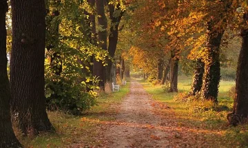 Ето какво ще се случва с времето през ноември
