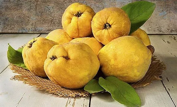 Яжте дюли за красиво потомство