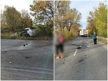 Ад край Алфатар. Мъж и дете гинат в меле на пътя