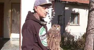 Шеф Михалчев спасява популацията на бухали