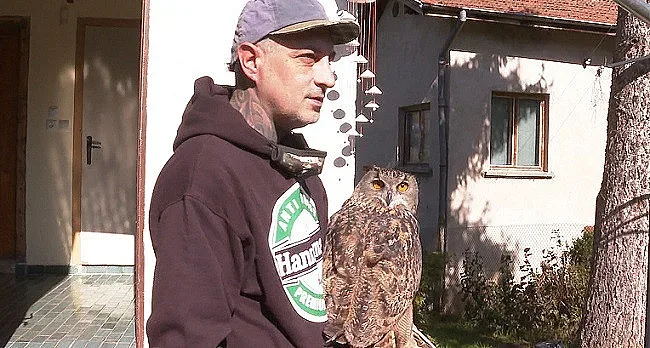 Шеф Михалчев спасява популацията на бухали