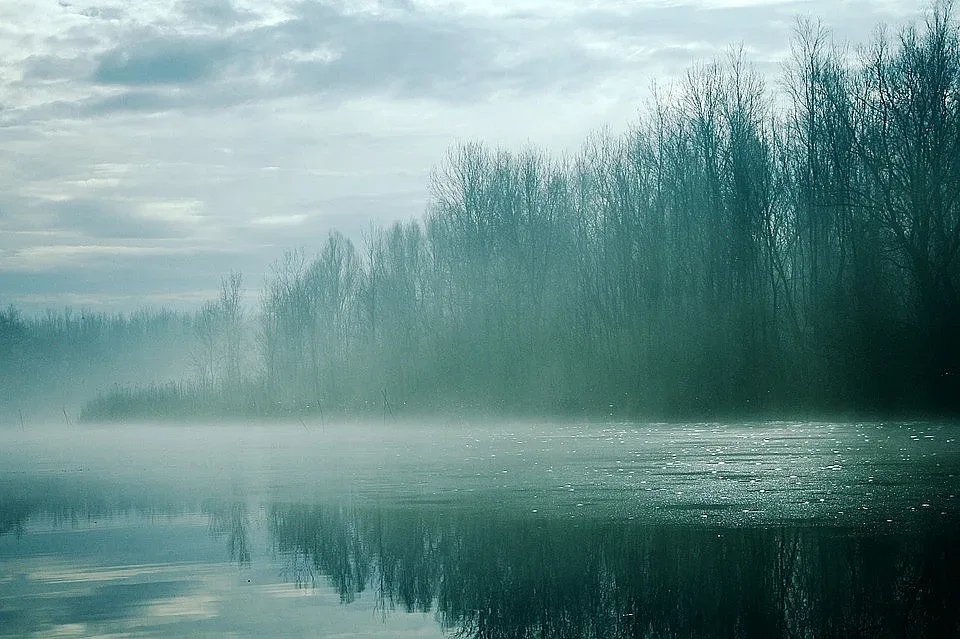 Времето: След мъглата иде слънце