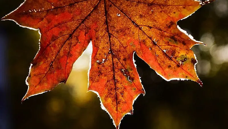 Времето: Температурите леко вървят нагоре