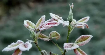 Времето: Студена утрин, последвана от затопляне