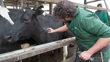 Руската ваксина срещу коронавируса казва "Му"