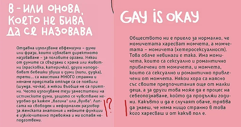 ВМРО иска наказания за създателите на „В като вагина“
