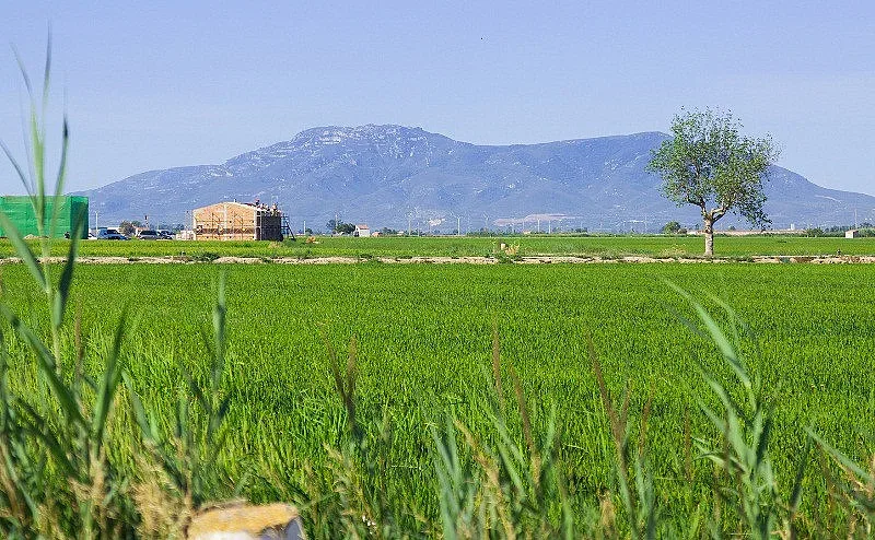 Наказват строго некоректни арендатори и фермери