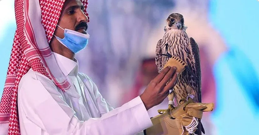 Продадоха сокол за рекордна сума