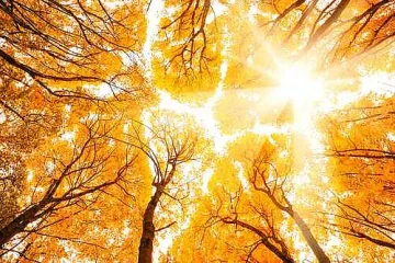 Синоптик обяви кога идва циганското лято