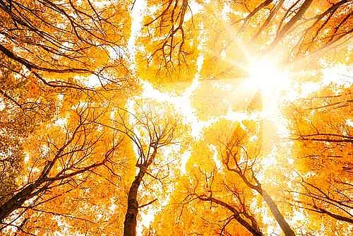 Синоптик обяви кога идва циганското лято