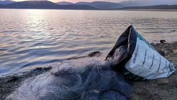 Акция: Освободиха гигантски толстолоб от бракониери