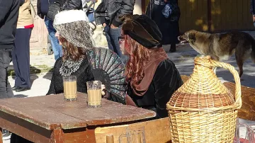 Боза на корем в Радомир