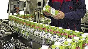 Кой е кандидат-купувачът на млякото "Верея"