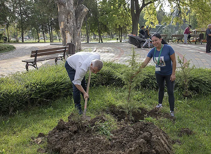 Хималайски кедър ще краси парк в Стара Загора