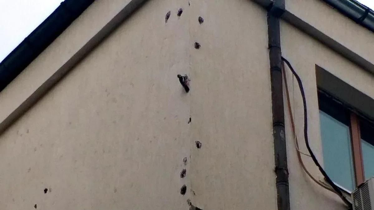 Кълвачи нападнаха „Лозенец", изолацията на решето