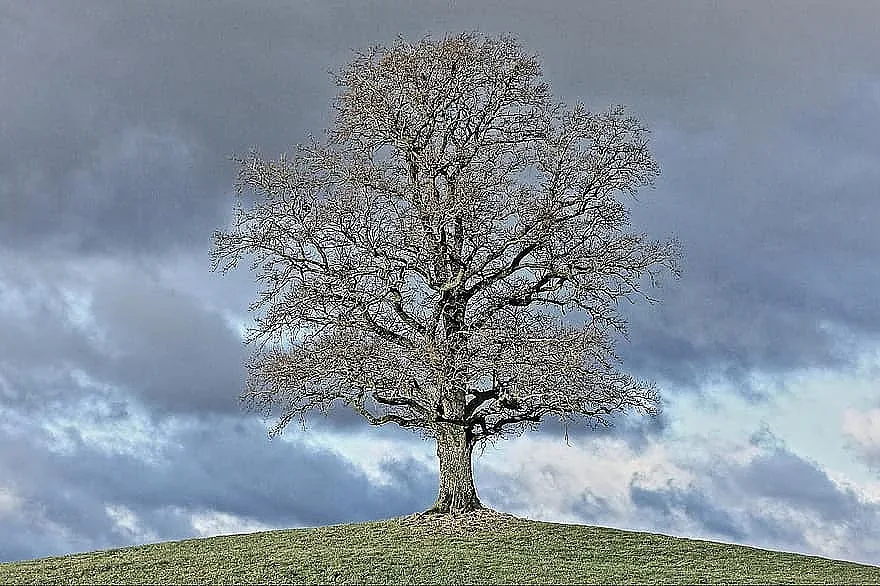 Топла и слънчева неделя, духа южнякът