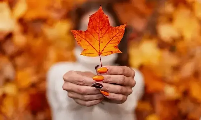 Изненада от времето. Голям подарък