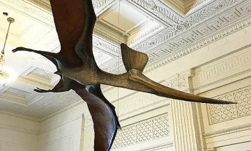 Направиха нови разкрития за динозаврите