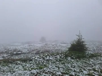 Сняг в Родопите. Две местенца побеляха /ВИДЕО/