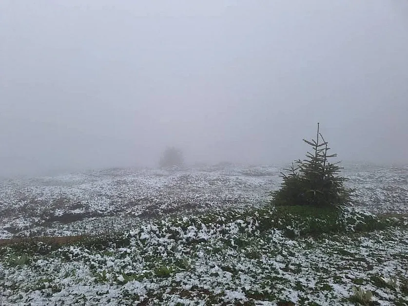 Сняг в Родопите. Две местенца побеляха /ВИДЕО/
