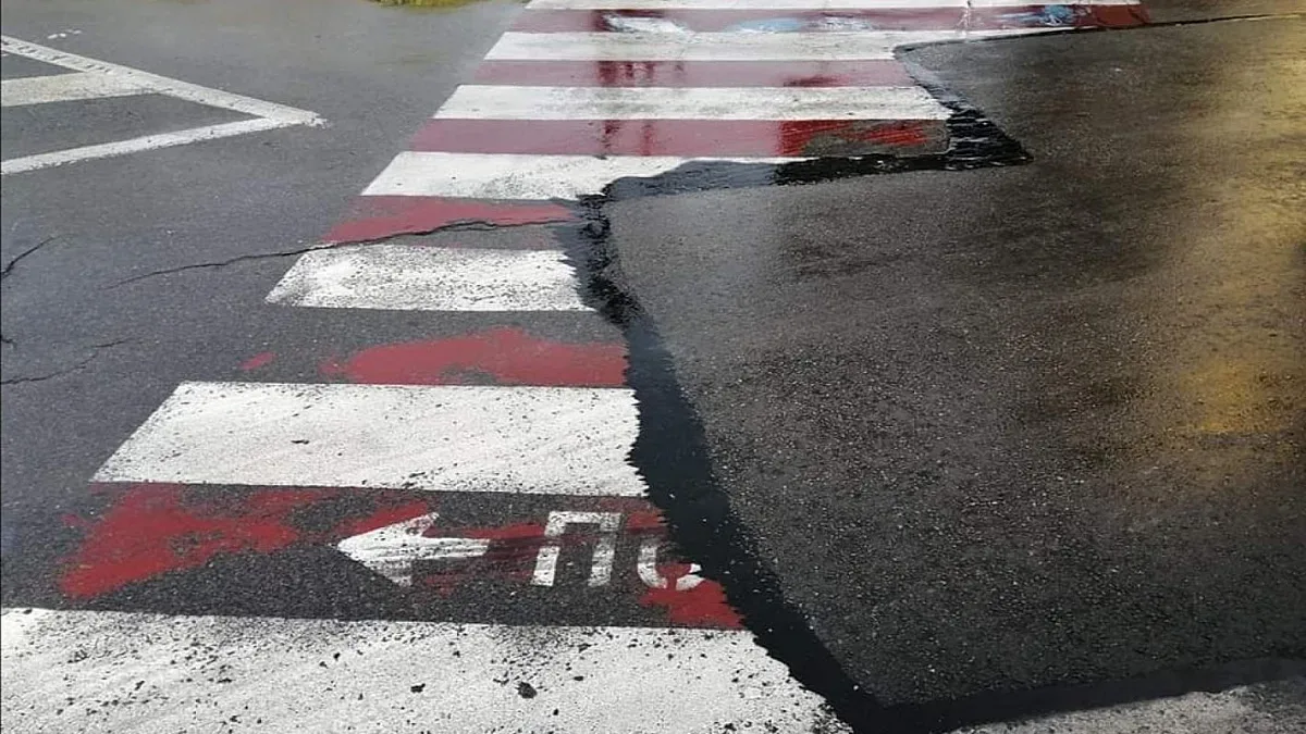 Асфалт погълна зебра в София