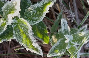 Рязка промяна във времето. Голяма изненада