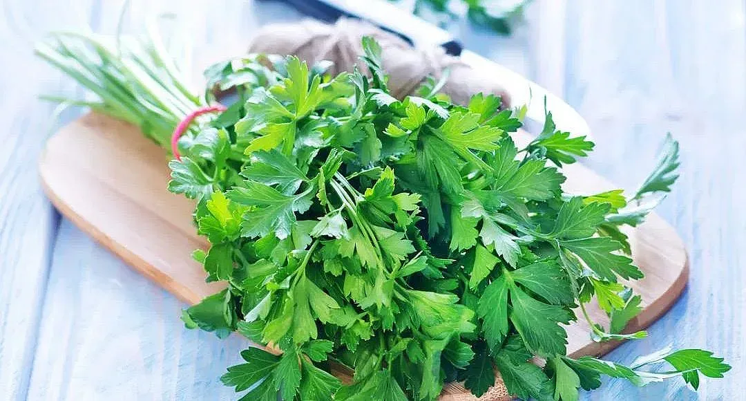 Как магданозът помага на имунитета и здравето